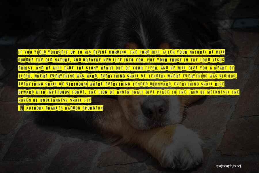 Charles Haddon Spurgeon Quotes: If You Yield Yourself Up To His Divine Working, The Lord Will Alter Your Nature; He Will Subdue The Old