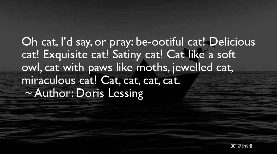 Doris Lessing Quotes: Oh Cat, I'd Say, Or Pray: Be-ootiful Cat! Delicious Cat! Exquisite Cat! Satiny Cat! Cat Like A Soft Owl, Cat