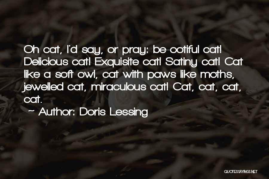 Doris Lessing Quotes: Oh Cat, I'd Say, Or Pray: Be-ootiful Cat! Delicious Cat! Exquisite Cat! Satiny Cat! Cat Like A Soft Owl, Cat