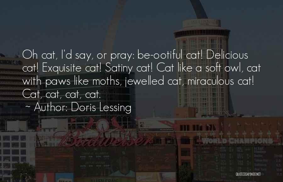 Doris Lessing Quotes: Oh Cat, I'd Say, Or Pray: Be-ootiful Cat! Delicious Cat! Exquisite Cat! Satiny Cat! Cat Like A Soft Owl, Cat