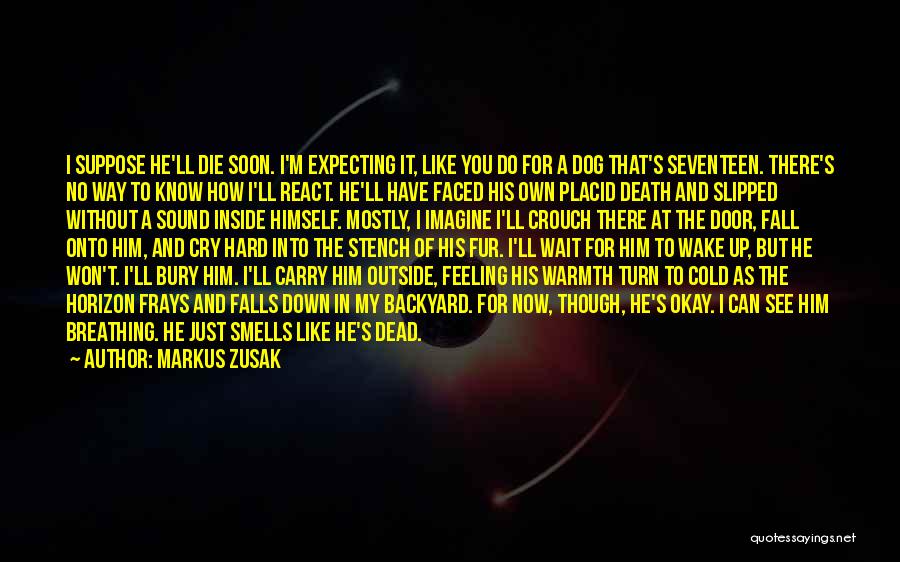 Markus Zusak Quotes: I Suppose He'll Die Soon. I'm Expecting It, Like You Do For A Dog That's Seventeen. There's No Way To