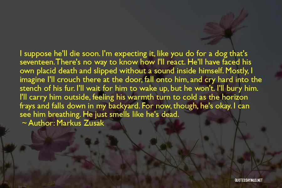 Markus Zusak Quotes: I Suppose He'll Die Soon. I'm Expecting It, Like You Do For A Dog That's Seventeen. There's No Way To