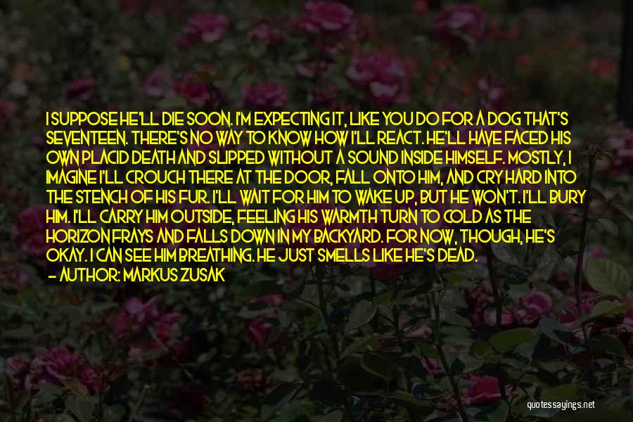 Markus Zusak Quotes: I Suppose He'll Die Soon. I'm Expecting It, Like You Do For A Dog That's Seventeen. There's No Way To