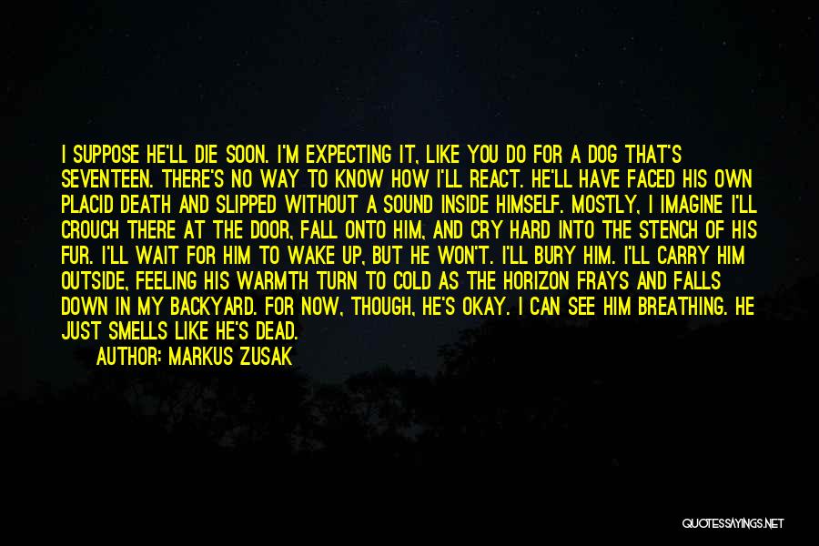 Markus Zusak Quotes: I Suppose He'll Die Soon. I'm Expecting It, Like You Do For A Dog That's Seventeen. There's No Way To