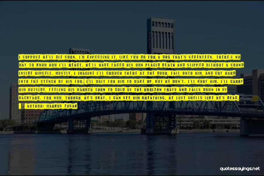 Markus Zusak Quotes: I Suppose He'll Die Soon. I'm Expecting It, Like You Do For A Dog That's Seventeen. There's No Way To