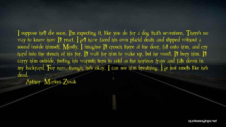 Markus Zusak Quotes: I Suppose He'll Die Soon. I'm Expecting It, Like You Do For A Dog That's Seventeen. There's No Way To