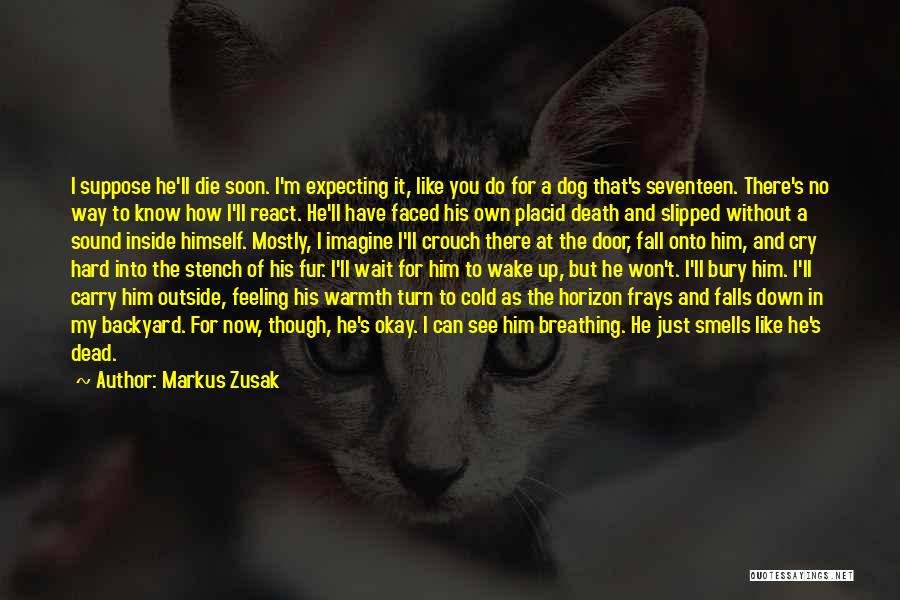 Markus Zusak Quotes: I Suppose He'll Die Soon. I'm Expecting It, Like You Do For A Dog That's Seventeen. There's No Way To