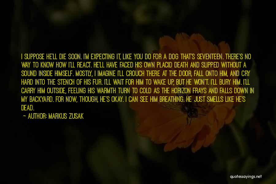 Markus Zusak Quotes: I Suppose He'll Die Soon. I'm Expecting It, Like You Do For A Dog That's Seventeen. There's No Way To