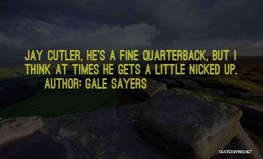 Gale Sayers Quotes: Jay Cutler, He's A Fine Quarterback, But I Think At Times He Gets A Little Nicked Up.