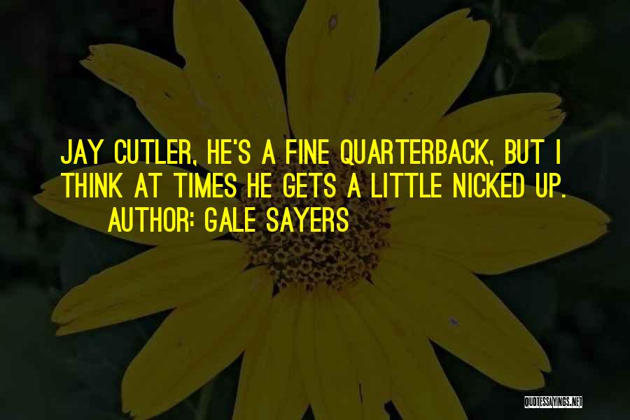 Gale Sayers Quotes: Jay Cutler, He's A Fine Quarterback, But I Think At Times He Gets A Little Nicked Up.