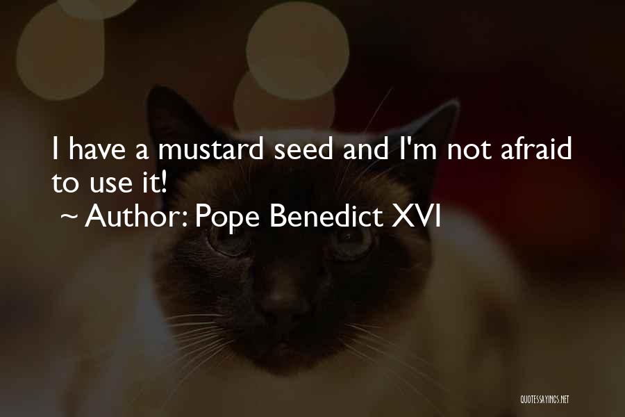 Pope Benedict XVI Quotes: I Have A Mustard Seed And I'm Not Afraid To Use It!