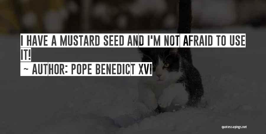 Pope Benedict XVI Quotes: I Have A Mustard Seed And I'm Not Afraid To Use It!