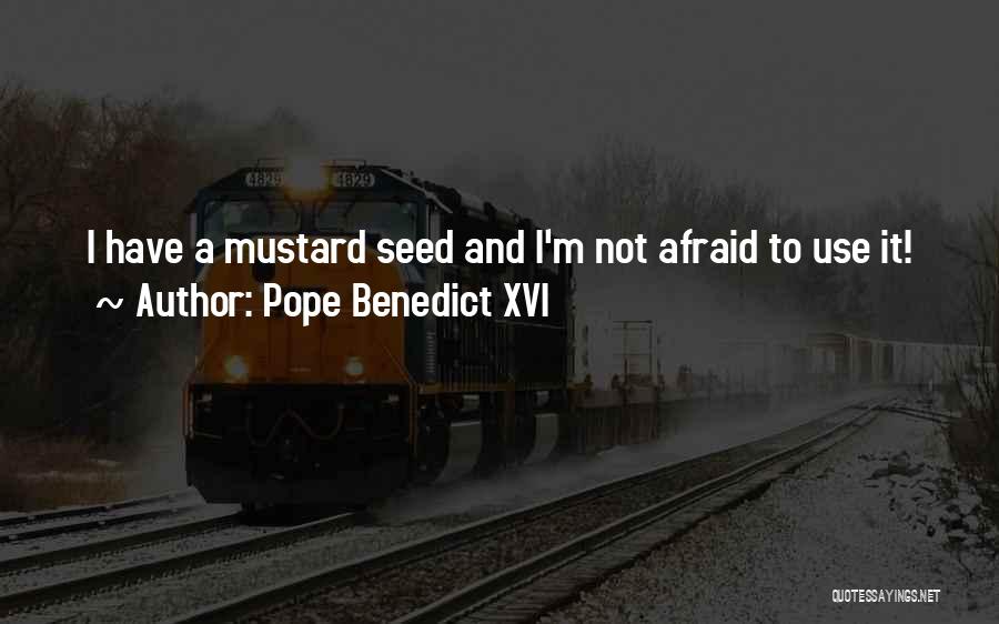 Pope Benedict XVI Quotes: I Have A Mustard Seed And I'm Not Afraid To Use It!