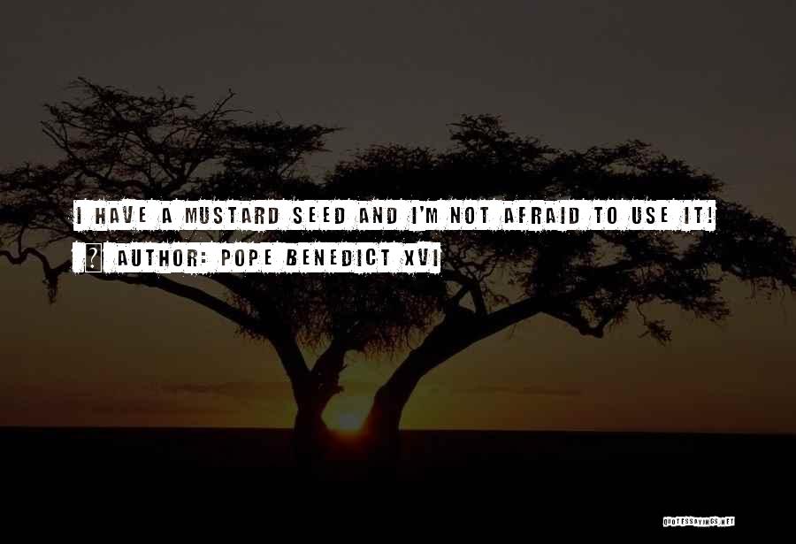 Pope Benedict XVI Quotes: I Have A Mustard Seed And I'm Not Afraid To Use It!