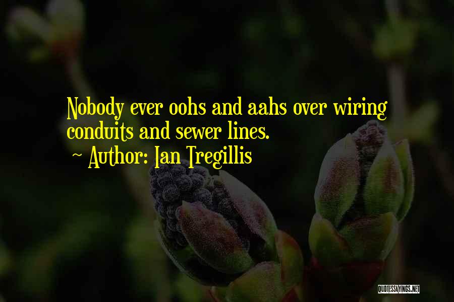 Ian Tregillis Quotes: Nobody Ever Oohs And Aahs Over Wiring Conduits And Sewer Lines.