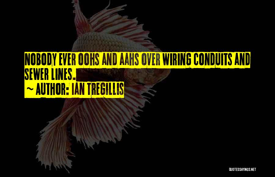Ian Tregillis Quotes: Nobody Ever Oohs And Aahs Over Wiring Conduits And Sewer Lines.