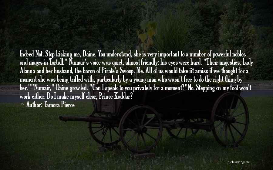 Tamora Pierce Quotes: Indeed Not. Stop Kicking Me, Daine. You Understand, She Is Very Important To A Number Of Powerful Nobles And Mages