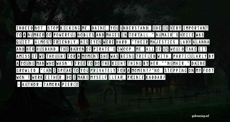 Tamora Pierce Quotes: Indeed Not. Stop Kicking Me, Daine. You Understand, She Is Very Important To A Number Of Powerful Nobles And Mages