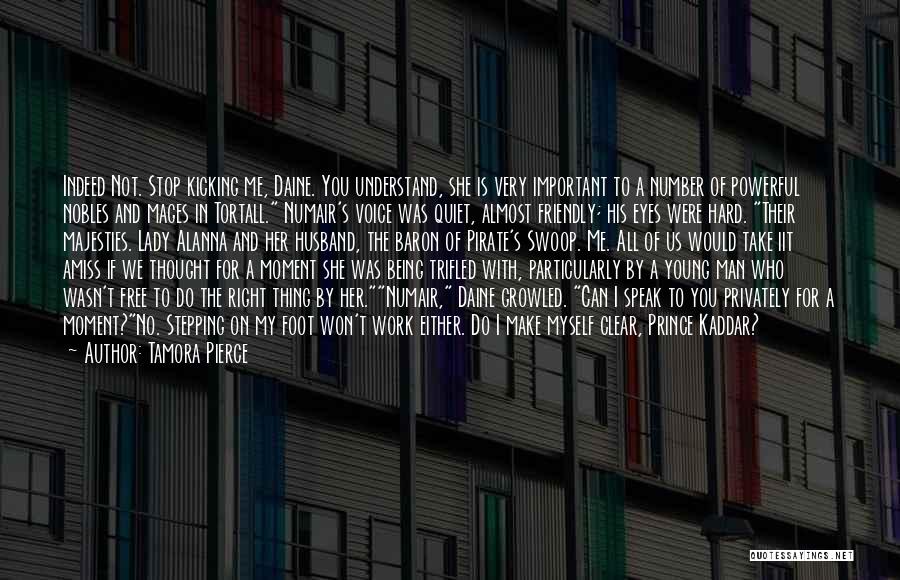 Tamora Pierce Quotes: Indeed Not. Stop Kicking Me, Daine. You Understand, She Is Very Important To A Number Of Powerful Nobles And Mages