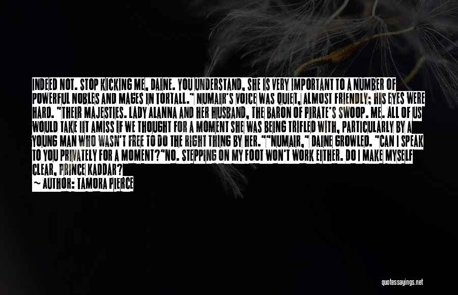 Tamora Pierce Quotes: Indeed Not. Stop Kicking Me, Daine. You Understand, She Is Very Important To A Number Of Powerful Nobles And Mages