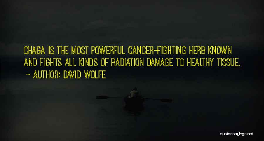 David Wolfe Quotes: Chaga Is The Most Powerful Cancer-fighting Herb Known And Fights All Kinds Of Radiation Damage To Healthy Tissue.