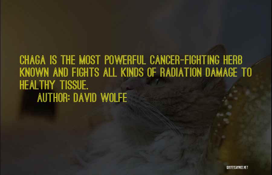 David Wolfe Quotes: Chaga Is The Most Powerful Cancer-fighting Herb Known And Fights All Kinds Of Radiation Damage To Healthy Tissue.