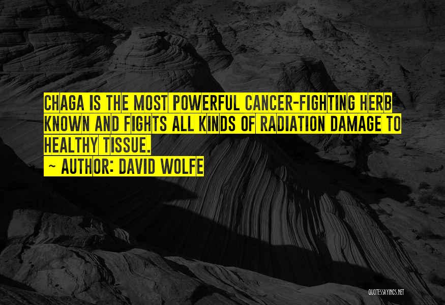 David Wolfe Quotes: Chaga Is The Most Powerful Cancer-fighting Herb Known And Fights All Kinds Of Radiation Damage To Healthy Tissue.