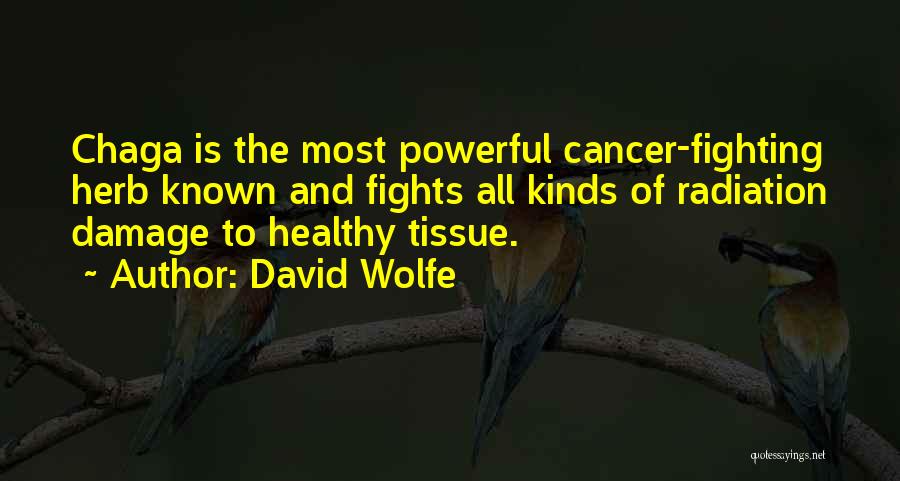 David Wolfe Quotes: Chaga Is The Most Powerful Cancer-fighting Herb Known And Fights All Kinds Of Radiation Damage To Healthy Tissue.