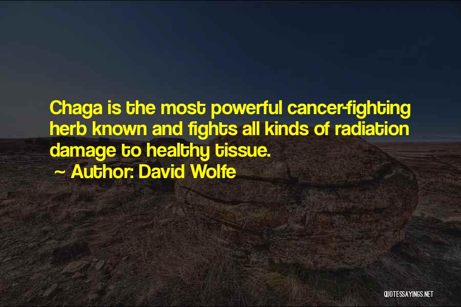 David Wolfe Quotes: Chaga Is The Most Powerful Cancer-fighting Herb Known And Fights All Kinds Of Radiation Damage To Healthy Tissue.