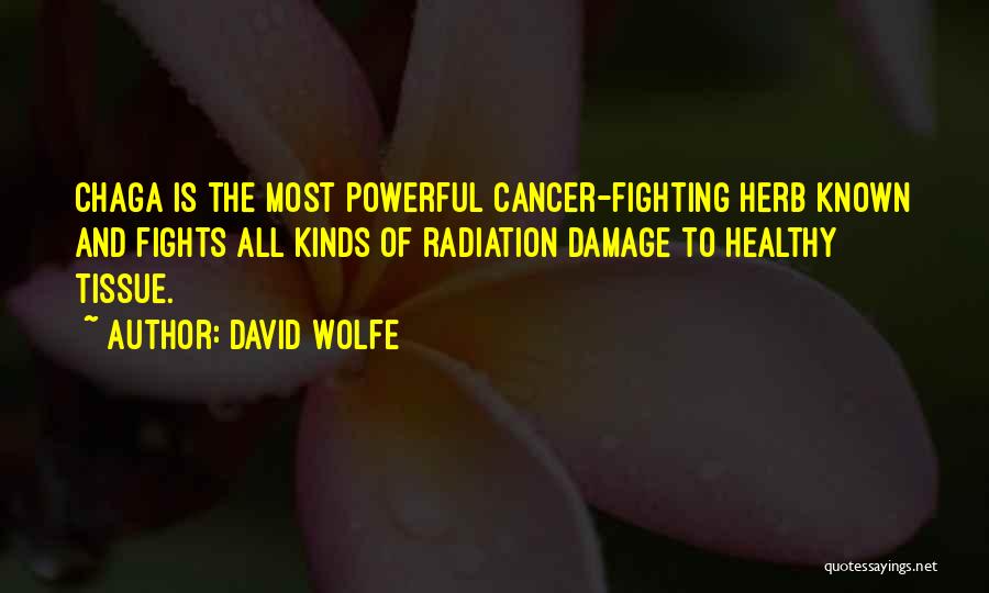 David Wolfe Quotes: Chaga Is The Most Powerful Cancer-fighting Herb Known And Fights All Kinds Of Radiation Damage To Healthy Tissue.