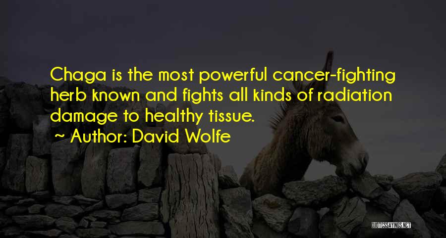 David Wolfe Quotes: Chaga Is The Most Powerful Cancer-fighting Herb Known And Fights All Kinds Of Radiation Damage To Healthy Tissue.