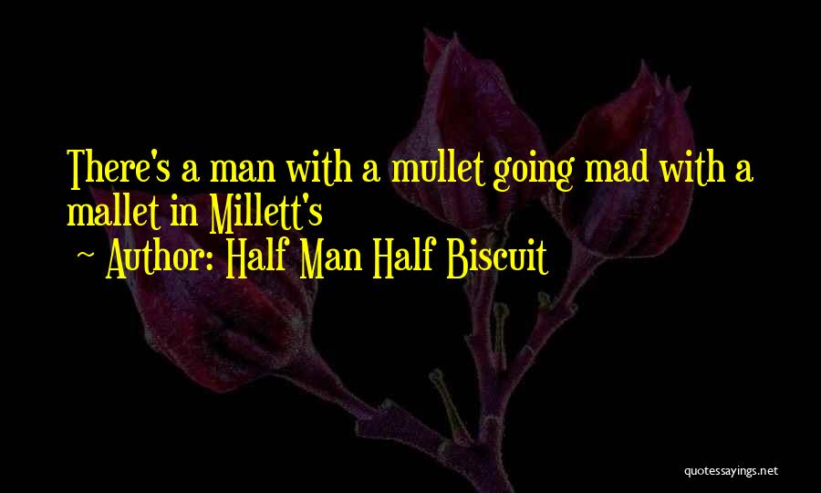 Half Man Half Biscuit Quotes: There's A Man With A Mullet Going Mad With A Mallet In Millett's