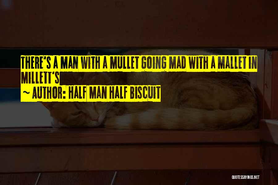 Half Man Half Biscuit Quotes: There's A Man With A Mullet Going Mad With A Mallet In Millett's