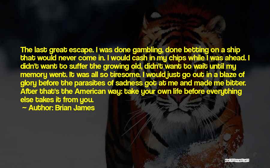 Brian James Quotes: The Last Great Escape. I Was Done Gambling, Done Betting On A Ship That Would Never Come In. I Would