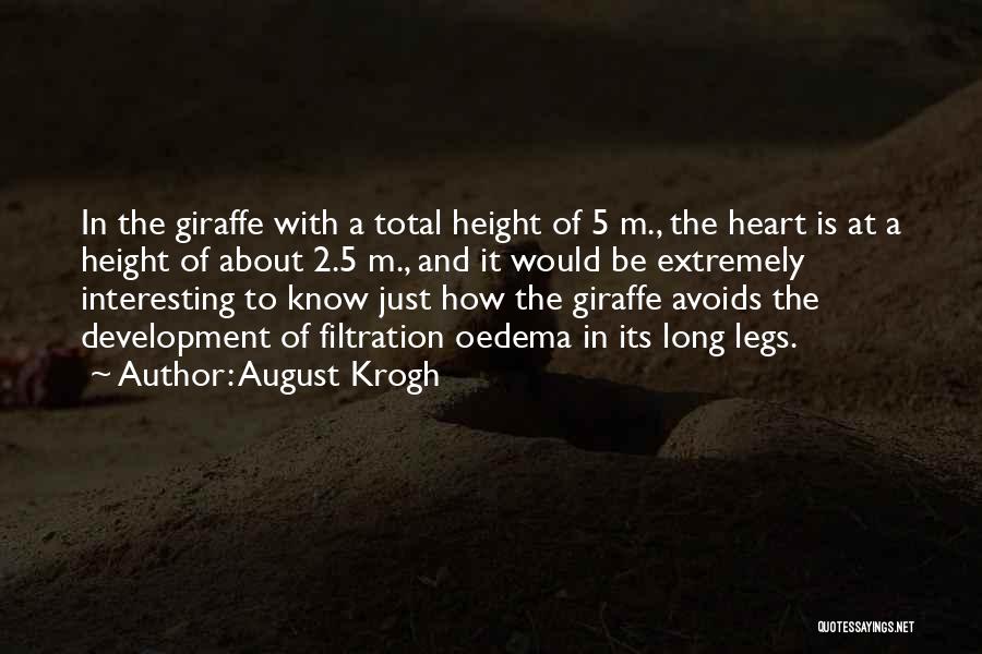 August Krogh Quotes: In The Giraffe With A Total Height Of 5 M., The Heart Is At A Height Of About 2.5 M.,