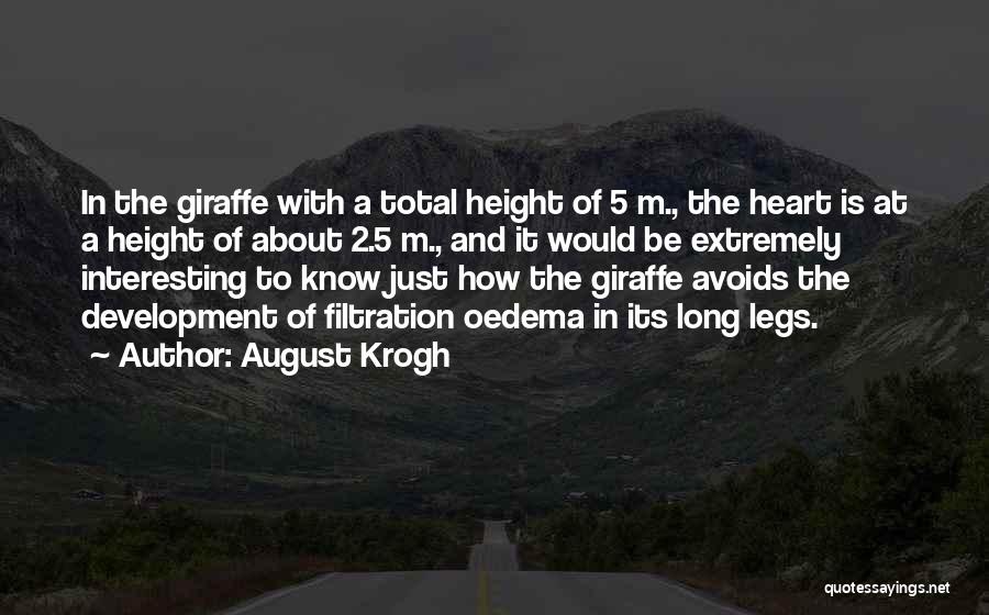 August Krogh Quotes: In The Giraffe With A Total Height Of 5 M., The Heart Is At A Height Of About 2.5 M.,