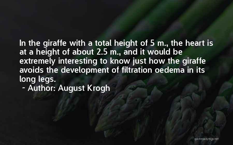 August Krogh Quotes: In The Giraffe With A Total Height Of 5 M., The Heart Is At A Height Of About 2.5 M.,