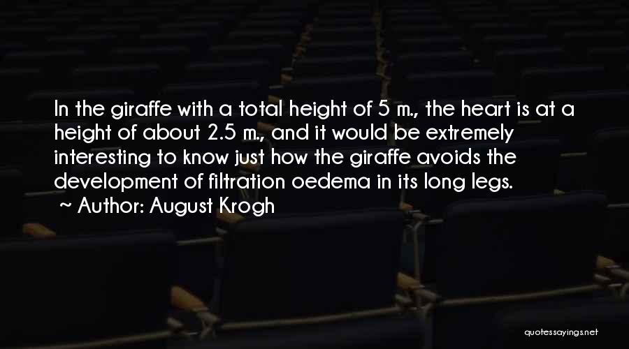 August Krogh Quotes: In The Giraffe With A Total Height Of 5 M., The Heart Is At A Height Of About 2.5 M.,