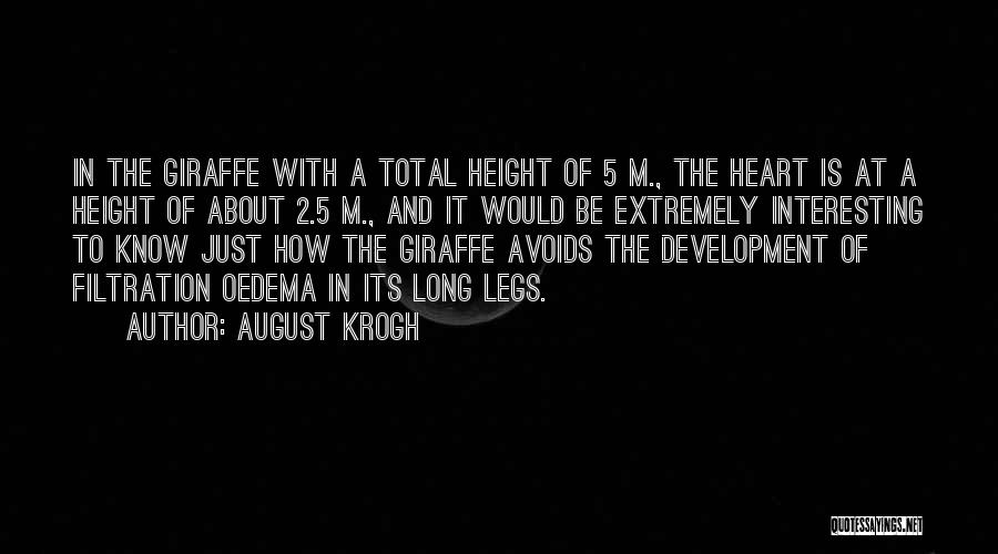 August Krogh Quotes: In The Giraffe With A Total Height Of 5 M., The Heart Is At A Height Of About 2.5 M.,