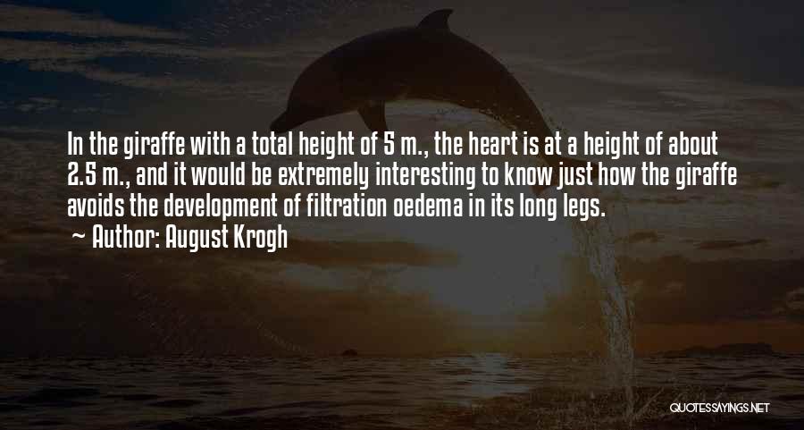 August Krogh Quotes: In The Giraffe With A Total Height Of 5 M., The Heart Is At A Height Of About 2.5 M.,