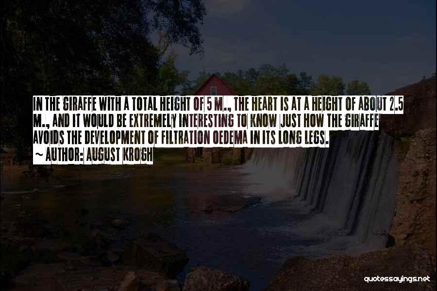 August Krogh Quotes: In The Giraffe With A Total Height Of 5 M., The Heart Is At A Height Of About 2.5 M.,