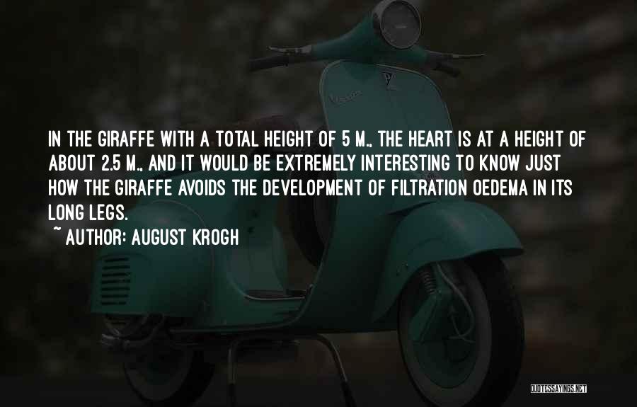 August Krogh Quotes: In The Giraffe With A Total Height Of 5 M., The Heart Is At A Height Of About 2.5 M.,