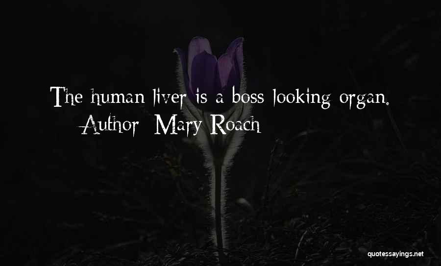 Mary Roach Quotes: The Human Liver Is A Boss-looking Organ.