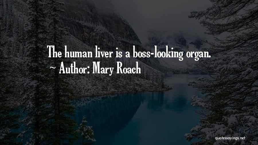 Mary Roach Quotes: The Human Liver Is A Boss-looking Organ.