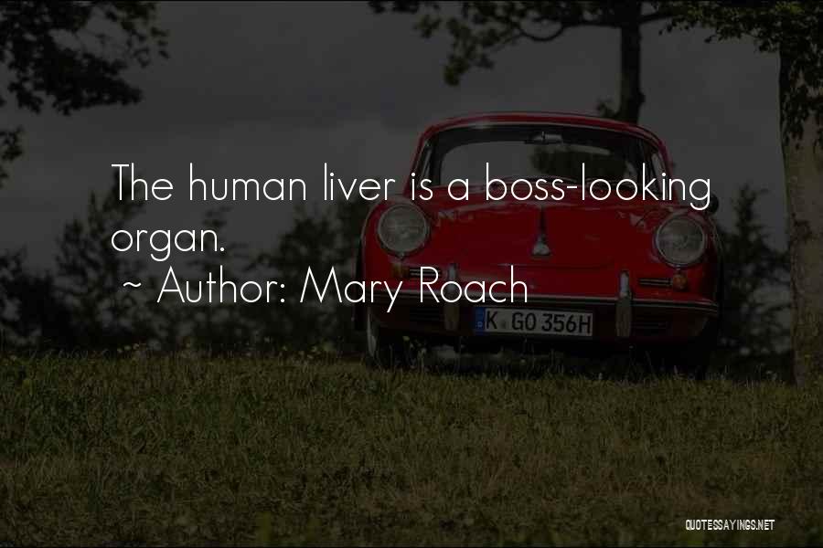 Mary Roach Quotes: The Human Liver Is A Boss-looking Organ.