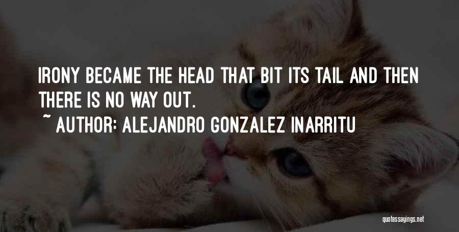 Alejandro Gonzalez Inarritu Quotes: Irony Became The Head That Bit Its Tail And Then There Is No Way Out.