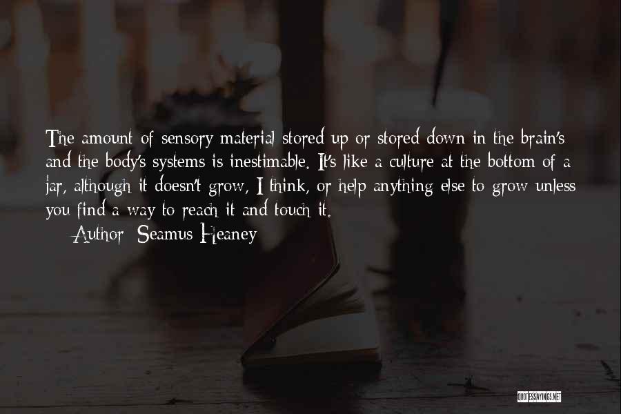 Seamus Heaney Quotes: The Amount Of Sensory Material Stored Up Or Stored Down In The Brain's And The Body's Systems Is Inestimable. It's