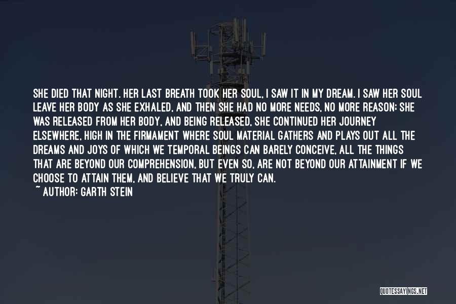 Garth Stein Quotes: She Died That Night. Her Last Breath Took Her Soul, I Saw It In My Dream. I Saw Her Soul