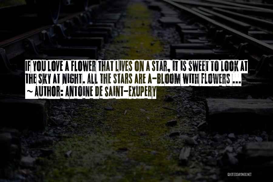 Antoine De Saint-Exupery Quotes: If You Love A Flower That Lives On A Star, It Is Sweet To Look At The Sky At Night.