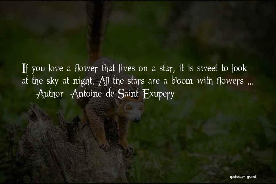 Antoine De Saint-Exupery Quotes: If You Love A Flower That Lives On A Star, It Is Sweet To Look At The Sky At Night.